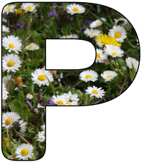 Deko-Buchstaben-Blumen_P.jpg